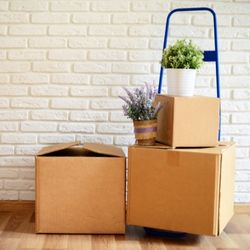 home relocation services in bhagalpur